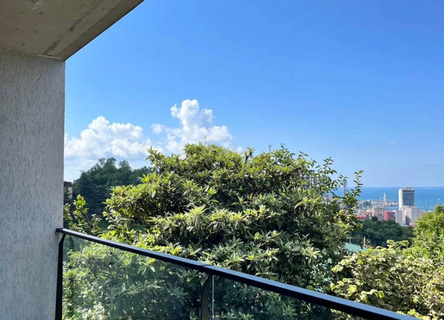 Hilltop Villa Batumi