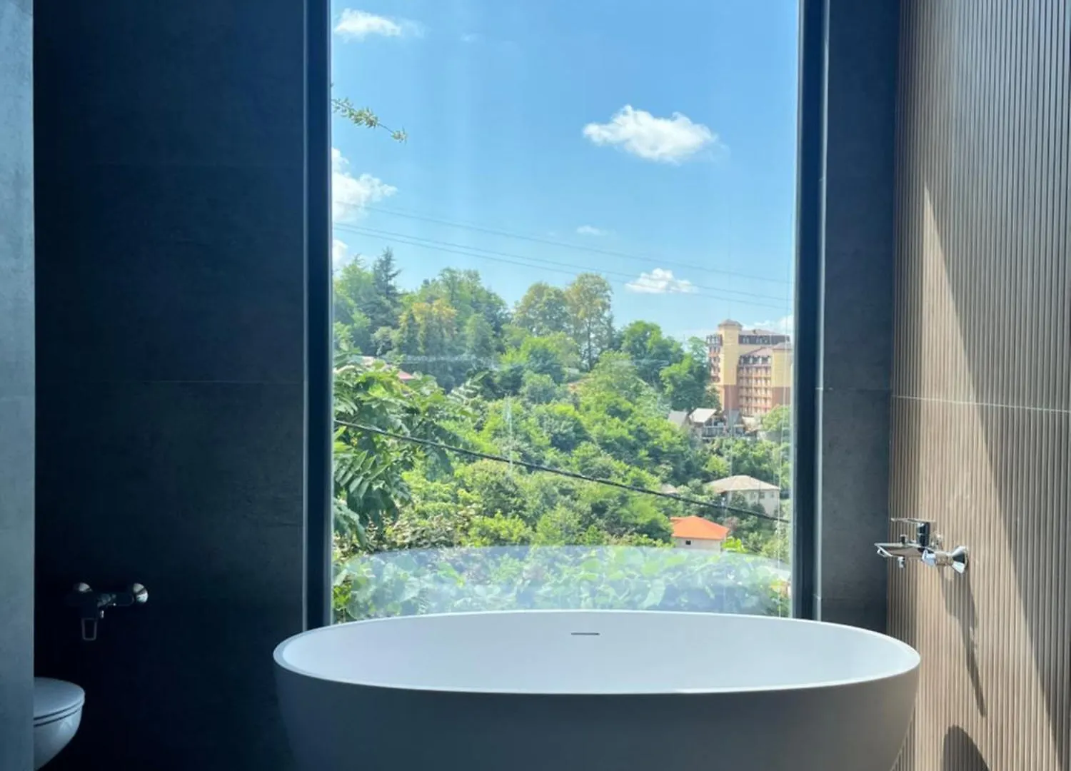 Hilltop Villa Batumi